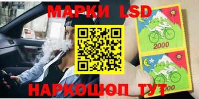 прущие грибы Обнинск