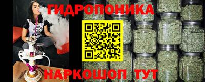 прущие грибы Обнинск