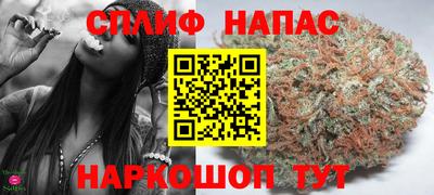 прущие грибы Обнинск