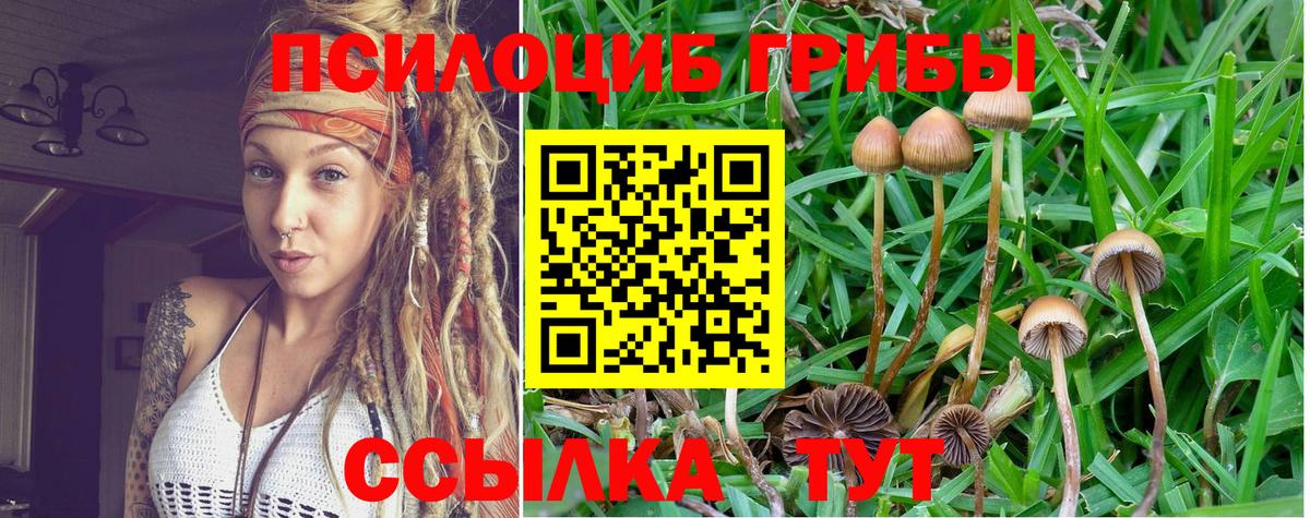 Псилоцибиновые грибы Magic Shrooms Тайшет